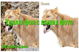 Удалю фон с вашей фотографии