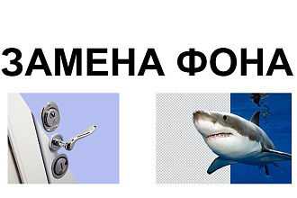 Удаление фона, обтравка фото