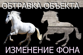 Обтравка объекта, изменение фона