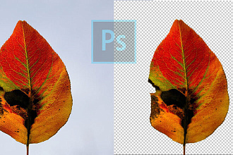 Уберу фон на фотографий