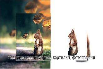 Удаление заднего фона картинки, фотографии. Background removal