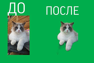 Удалю фон с любого фото или картинки