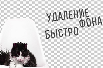 Удаление фона с люого фото