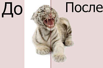Удаляю фон фотографий