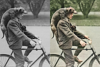 Раскрашу ваши фотографии