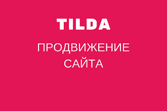 Продвижение сайта на Тильде вывод запросов в топ по Москве и России