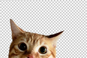 Вырежу фон на фотографии
