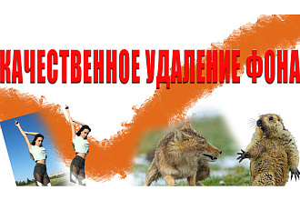 Удалю фон с вашей фотографии