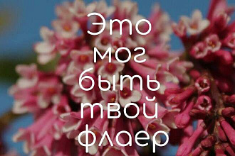 Создам дизайн листовки, флаера, визитки, открытки и прочее