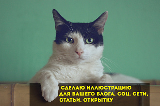 Сделаю иллюстрацию для вашего блога, соц. сети, статьи, открытку