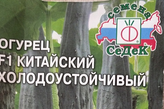 Разработка и создание красочных визиток листовок сертификатов