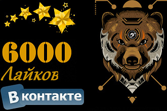 Привлечения 6000 лайков Вконтакте