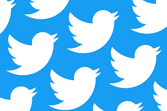 Ускорение индексации Twitter, быстрая индексация с гарантией