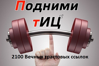 Трастовые вечные ссылки от 2100 с ТИЦ от 10+ для вашего сайта