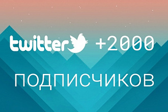 1700 подписчиков на Ваш аккаунт в Twitter
