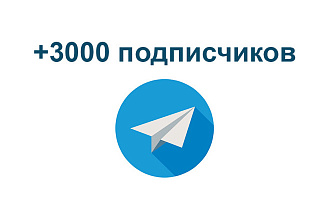 Telegram - 3000 подписчиков