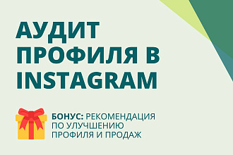 Подробный анализ профиля в instagram