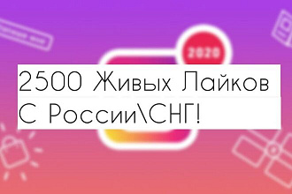 2500 Живых Лайков в Инстаграм