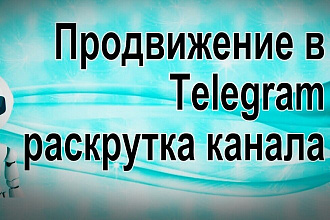 350 подписчиков в Telegram