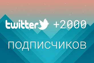2000 подписчиков в аккаунт Twitter