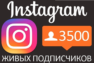 Подписчики в Истаграмм