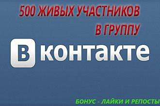 500 Живых Подписчиков Вконтакте, не боты, бонусом лайки и репосты