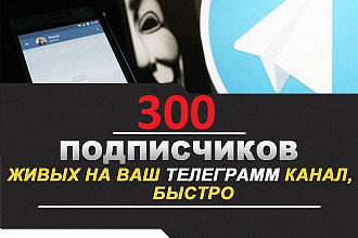300 живых подписчиков на Ваш Телеграм канал, быстро