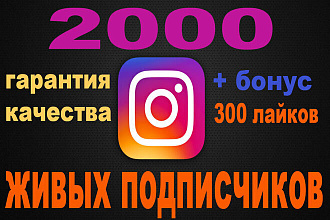 2000 реальных RU подписчиков в Instagram + бонусы