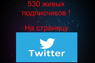 530 живых подписчиков в Twitter