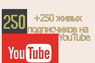250 Подписчиков на канал youtube