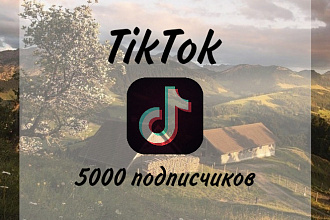 5000 подписчиков в ТикТок
