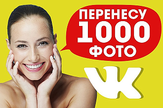 Перенесу 1000 фото с описанием с одной группы Вконтакте в другую