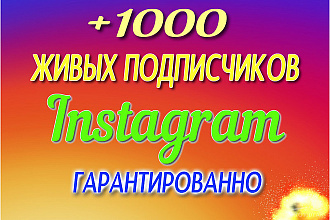Подписчики в Инстаграм, только живые аккаунты
