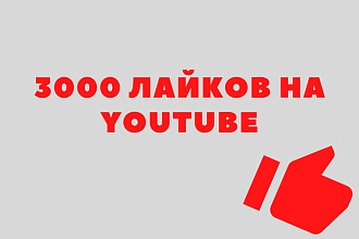 3000 лайков от живых пользователей YouTube