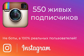 Привлечение 550 подписчиков в Instagram
