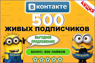500 подписчиков в группу или страницу Вконтакте + 500 лайков бонус