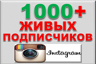 + 1000 подписчиков в Instagram