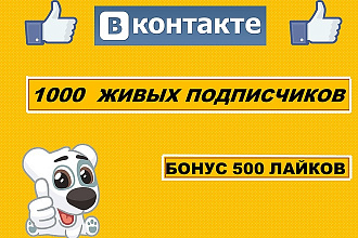 1000 подписчиков Вконтакте + бонус 500 лайков