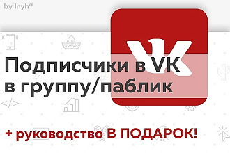 Подписчики в VK по 2 рубля + Настройка скорости