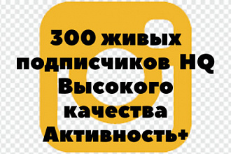 300 живых подписчиков в instagram высшего качества + бонусы