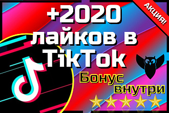 Лайки в TikTok 2020 лайков + БОНУС