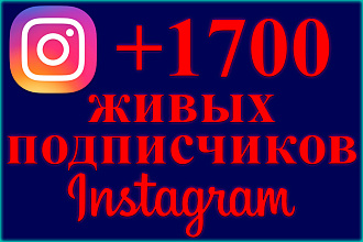 1700 реальных подписчиков в Instagram