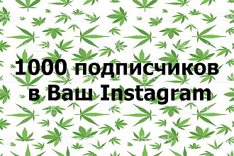 1000 подписчиков в Instagram