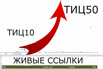 2500 безанкорных вечных ссылок с трастовых сайтов. Подробный отчёт