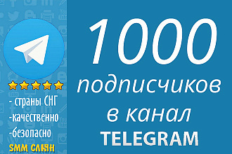 Привлеку на ваш Telegram канал 1000 подписчиков