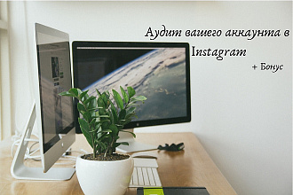 Аудит Instagram + Bonus
