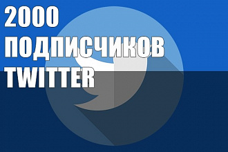 Twitter подписчики 2000 читателей