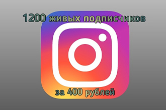 1200 ЖИВЫХ подписчиков В инстаграм ЗА 400 рублей