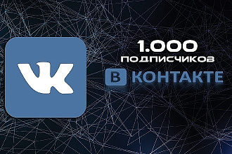 Накрутка, 1000 подписчиков