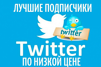 +1700 подписчиков на Ваш аккаунт Twitter